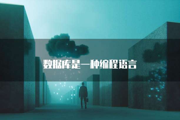 数据库是一种编程语言