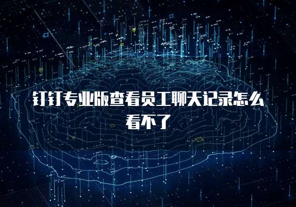钉钉专业版查看员工聊天记录怎么看不了