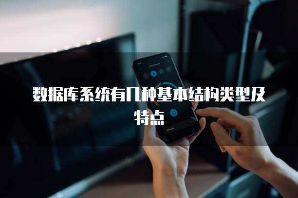 数据库系统有几种基本结构类型及特点