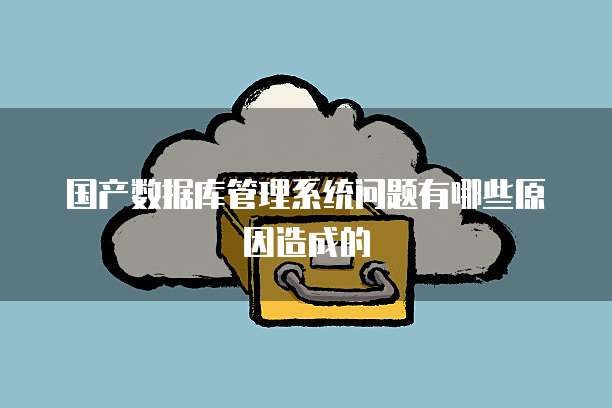 国产数据库管理系统问题有哪些原因造成的