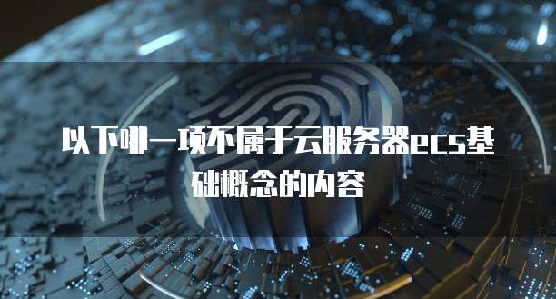 以下哪一项不属于云服务器ECS基础概念的内容