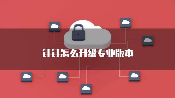 钉钉怎么升级专业版本