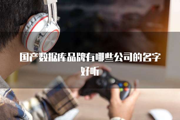 国产数据库品牌有哪些公司的名字好听