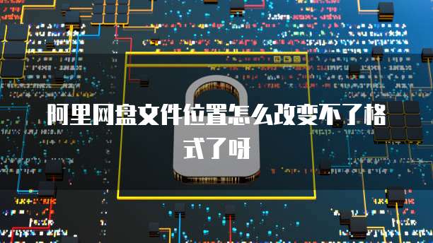 阿里网盘文件位置怎么改变不了格式了呀