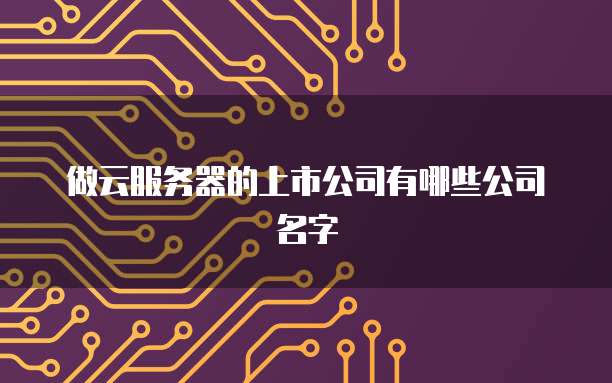 做云服务器的上市公司有哪些公司名字