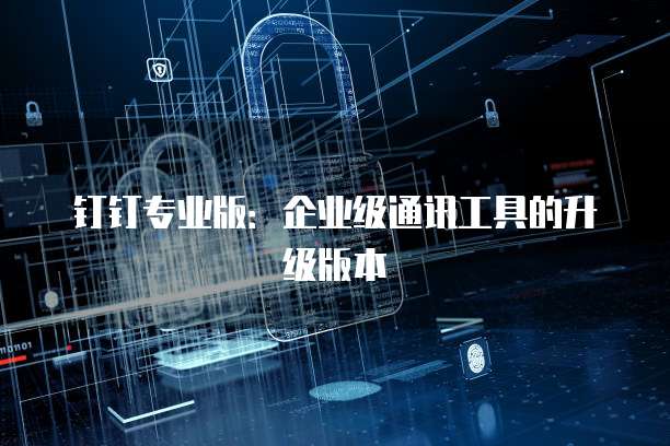 钉钉专业版：企业级通讯工具的升级版本