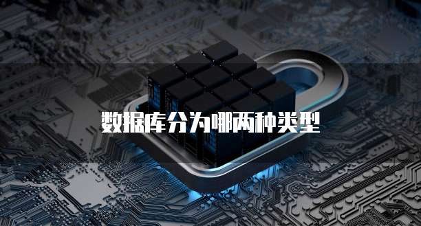 数据库分为哪两种类型