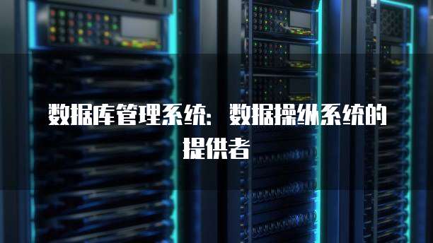 数据库管理系统：数据操纵系统的提供者