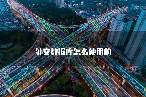 外文数据库怎么使用的