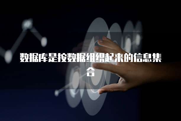数据库是按数据组织起来的信息集合