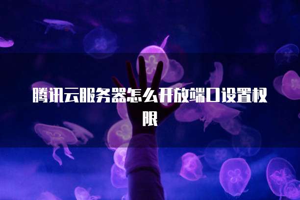 腾讯云服务器怎么开放端口设置权限