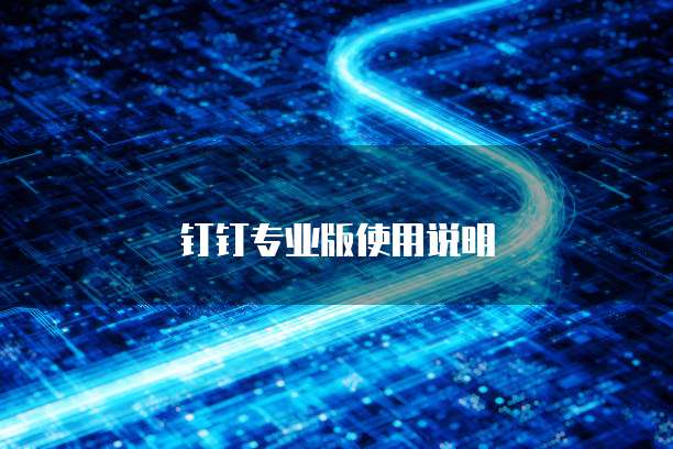 钉钉专业版使用说明