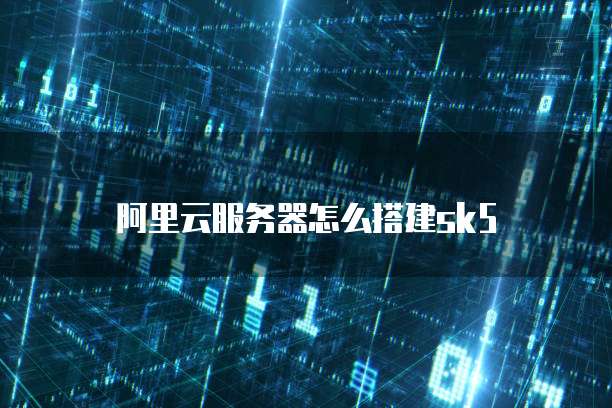 阿里云服务器怎么搭建sk5