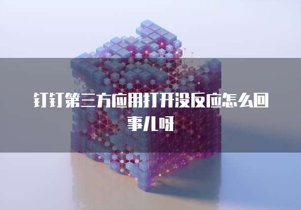 钉钉第三方应用打开没反应怎么回事儿呀