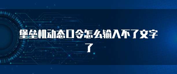 堡垒机动态口令怎么输入不了文字了