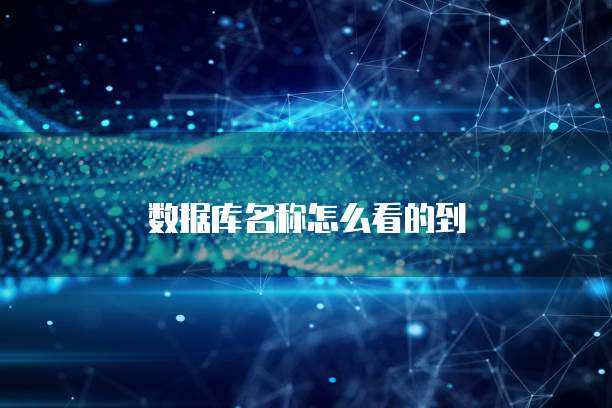 数据库名称怎么看的到