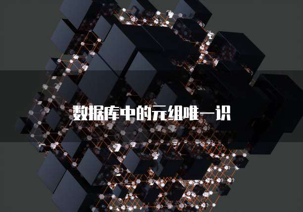 数据库中的元组唯一识