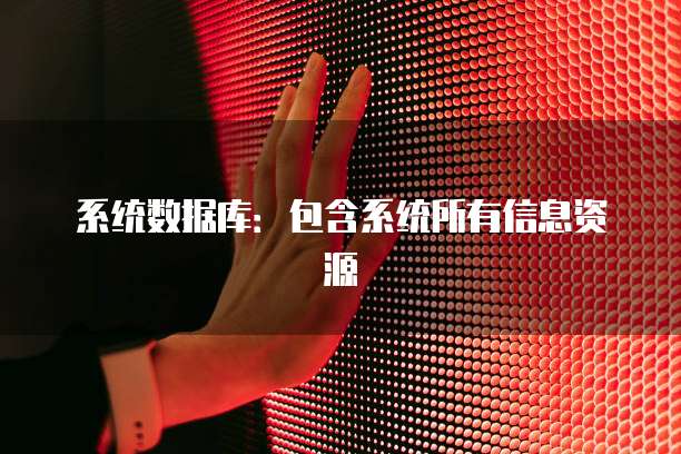 系统数据库：包含系统所有信息资源