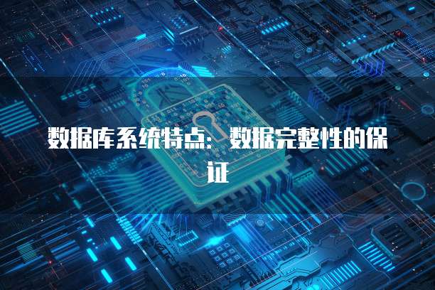 数据库系统特点：数据完整性的保证