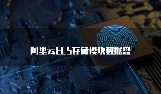 阿里云ECS存储模块数据盘