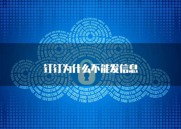 钉钉为什么不能发信息