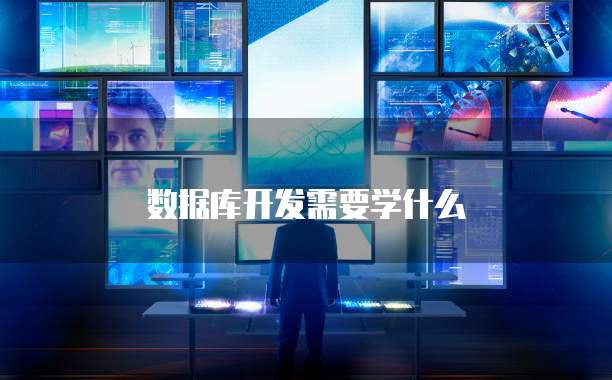 数据库开发需要学什么