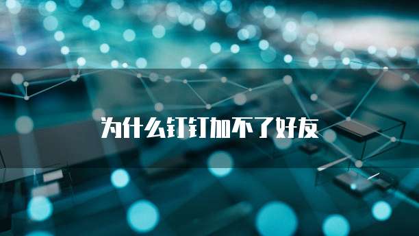 为什么钉钉加不了好友