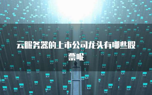 云服务器的上市公司龙头有哪些股票呢