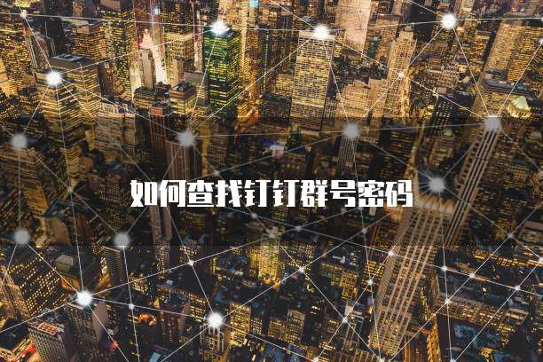 如何查找钉钉群号密码