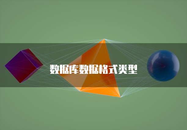 数据库数据格式类型