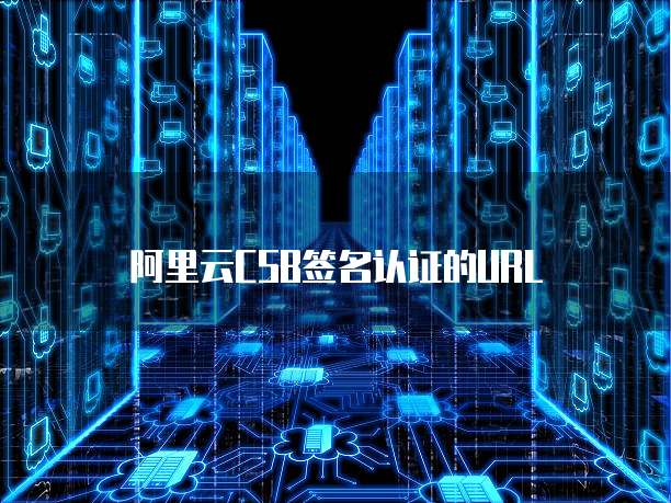 阿里云CSB签名认证的URL
