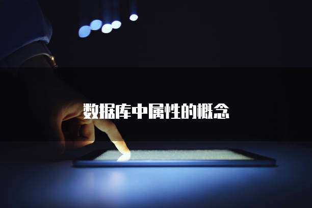 数据库中属性的概念