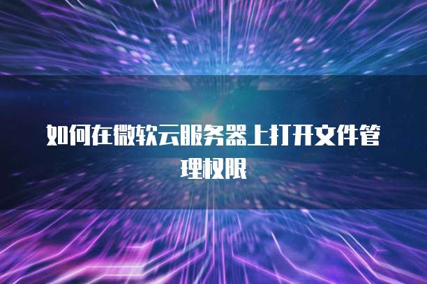 如何在微软云服务器上打开文件管理权限