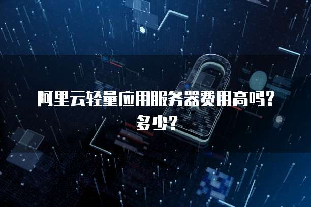 阿里云轻量应用服务器费用高吗？多少？