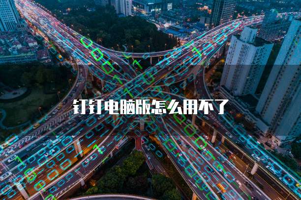 钉钉电脑版怎么用不了