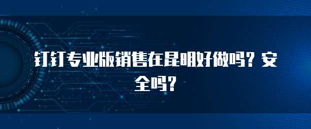 钉钉专业版销售在昆明好做吗？安全吗？