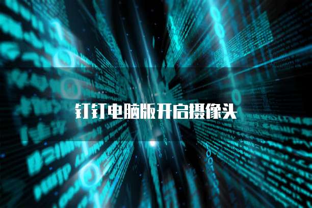 钉钉电脑版开启摄像头
