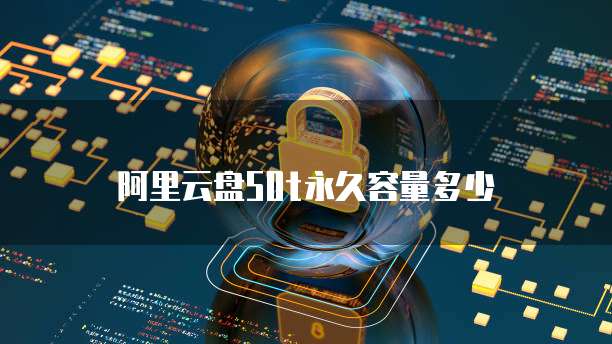 阿里云盘50t永久容量多少