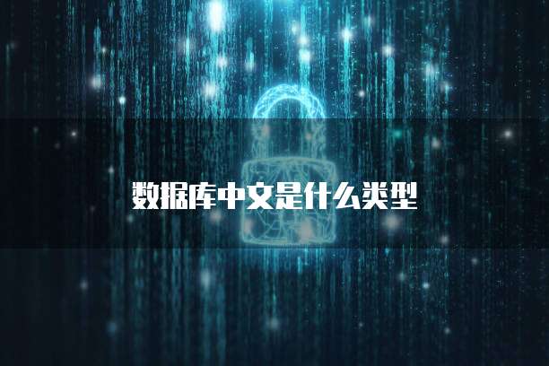 数据库中文是什么类型