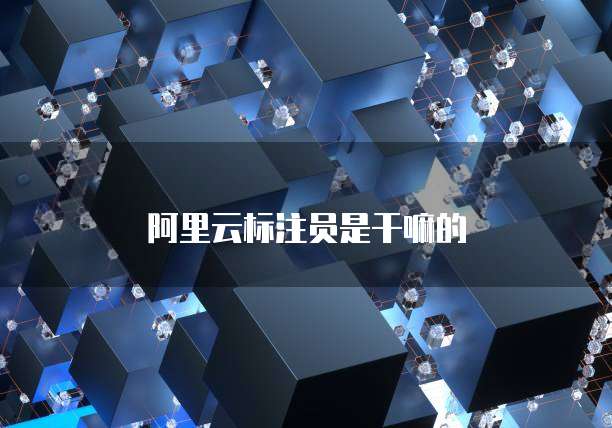 阿里云标注员是干嘛的