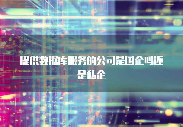 提供数据库服务的公司是国企吗还是私企