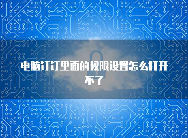 电脑钉钉里面的权限设置怎么打开不了