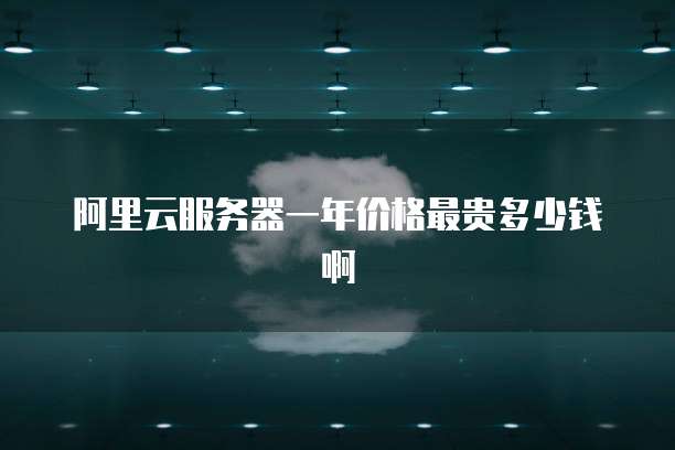 阿里云服务器一年价格最贵多少钱啊