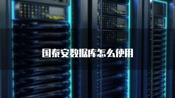 国泰安数据库怎么使用