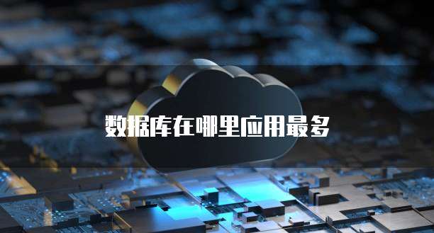 数据库在哪里应用最多