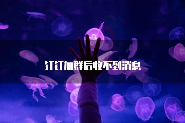 钉钉加群后收不到消息