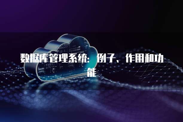 数据库管理系统：例子、作用和功能