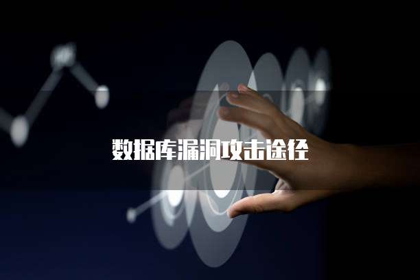 数据库漏洞攻击途径
