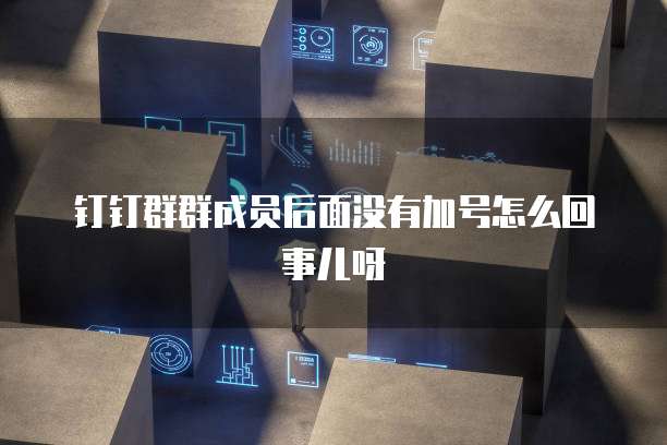 钉钉群群成员后面没有加号怎么回事儿呀