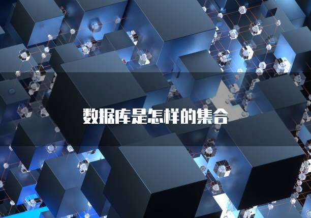 数据库是怎样的集合